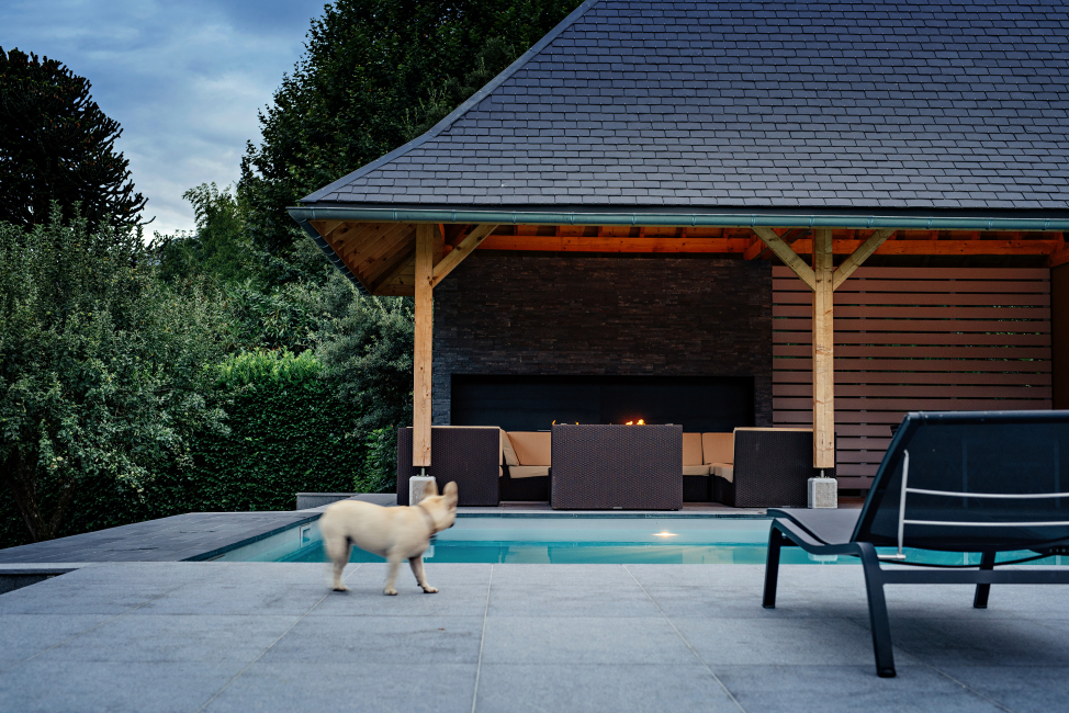 CreaDesign : Pool House à Chambéry